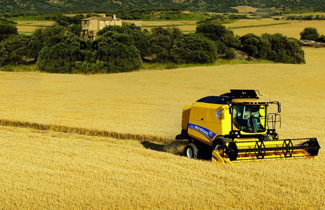 La producción mundial de cereales crecerá un 4,88 % esta campaña, según EEUU