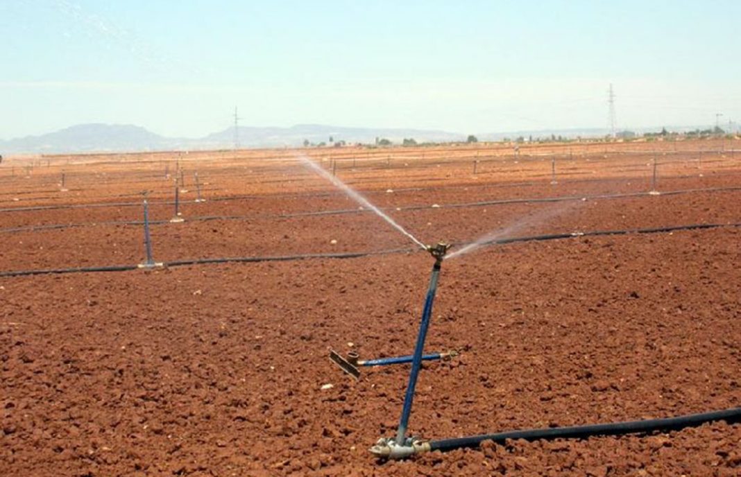 Los regantes de Levante anuncian movilizaciones en verano ante la falta de agua para sus cultivos