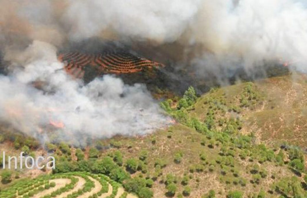 Responsabilizan a una cuadrilla de 14 personas de provocar con una quema el fuego registrado en el parque natural de Aracena
