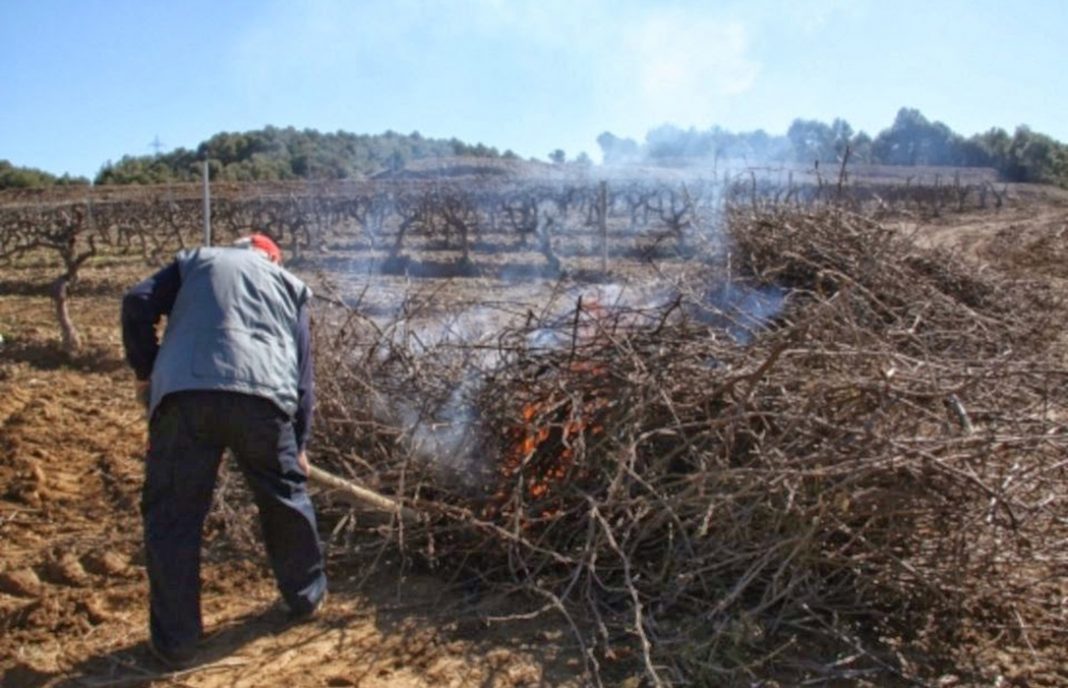 Extremadura limita la prohibición total de quemas a terrenos forestales y su área de influencia de 400 metros