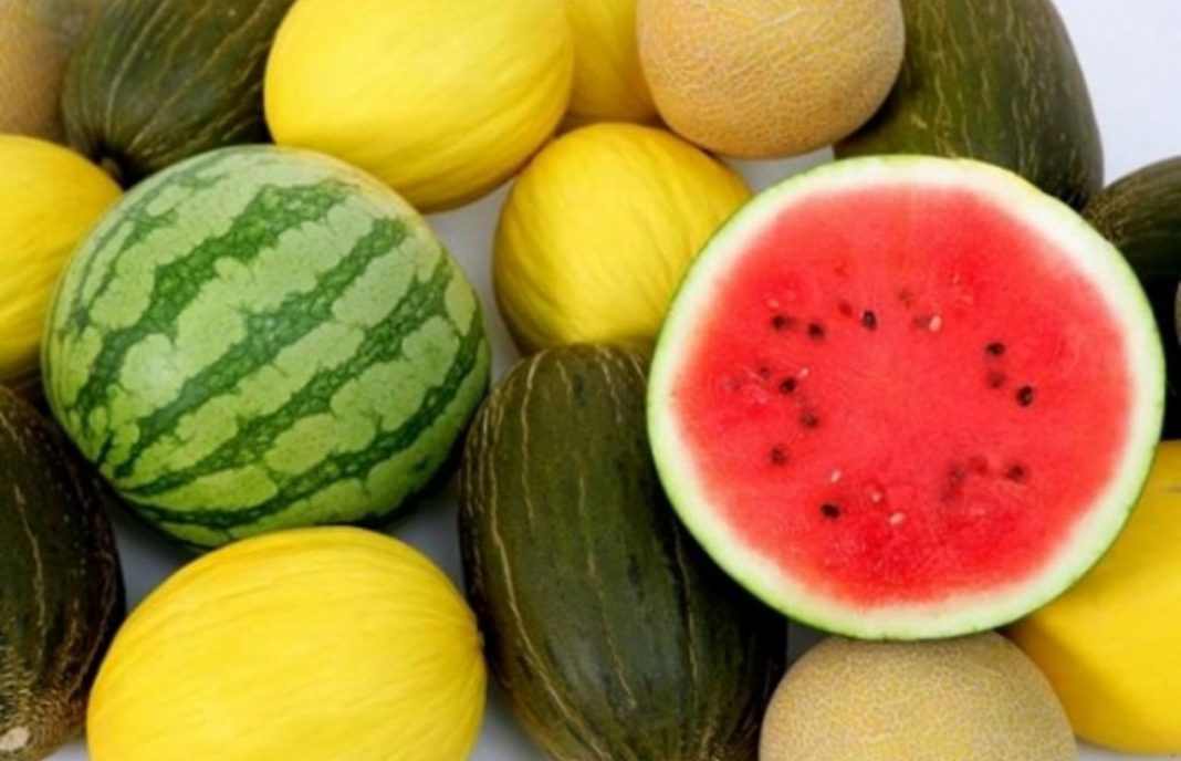 De la guindilla al melón y la sandía o el calabacín: Alimentos frescos que ayudan a combatir el calor