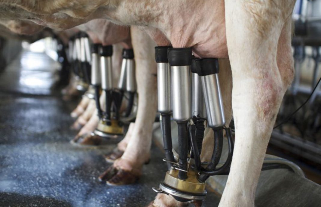 Ulega creará equipos para negociar el precio de la leche con cada empresa y en cada provincia