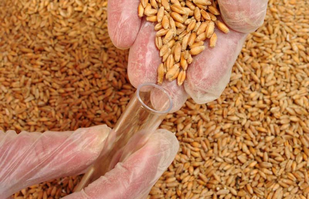 Acuerdo nacional para el pago de 12 euros la tonelada por el reempleo de granos para siembra certificada
