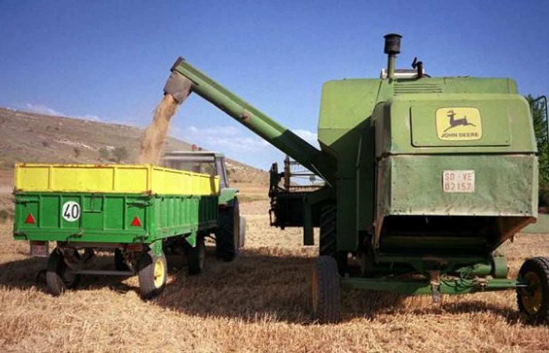 La cosecha de trigo se verá muy reducida en volumen, pero la calidad será superior a la de 2016