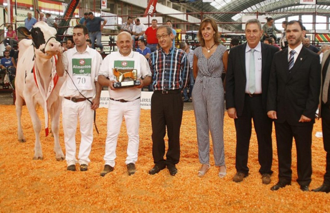 La vaca ‘Llera McCutchen Brita’ se proclama Gran Campeona de Cantabria en su Fin de Semana de la Leche