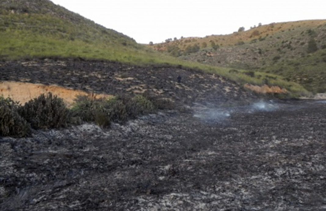 Se logra perimetrar el incendio de Yeste, del que los vecinos responsabilizan a los ecologistas