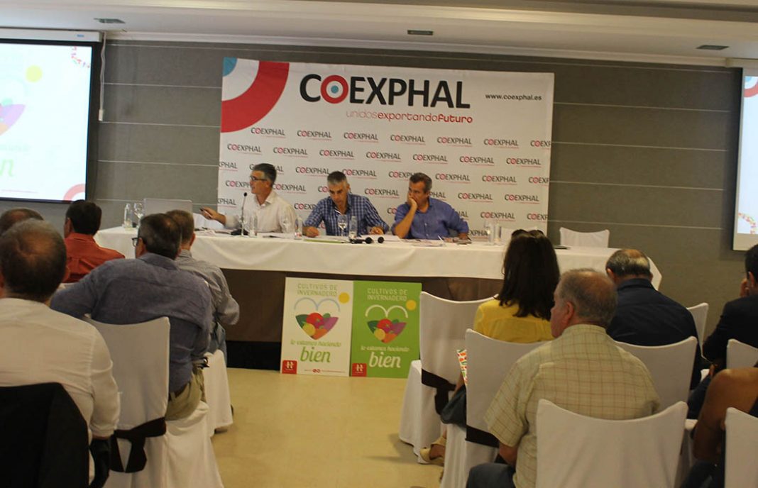 Coexphal cierra la pasada campaña con un desenso del 7% en comercialización pero con mejores precios