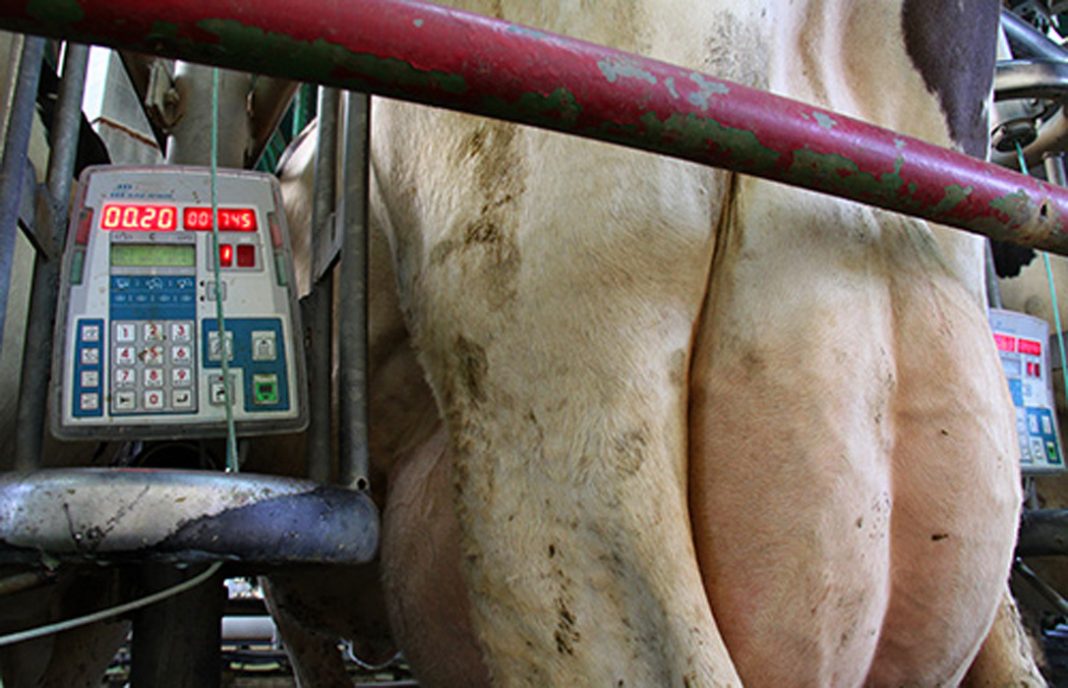 Estudian una nueva denuncia ante Competencia por los precios a la baja o estancados de la leche en Galicia