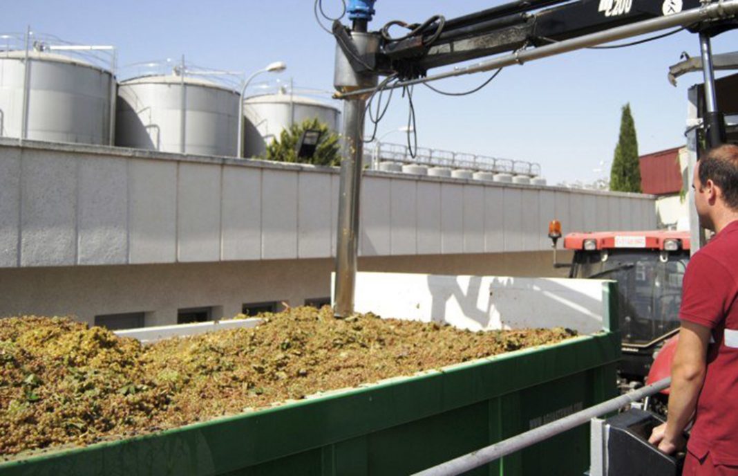 Los viticultores exigen más vigilancia sobre los precios de la uva: «Todas las tablillas son idénticas, sin diferencias»