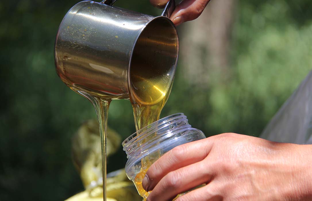 España y otros países piden en Bruselas un etiquetado más claro sobre el origen de la miel mezclada