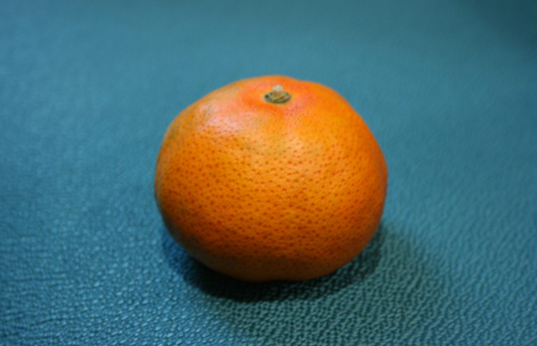 Denuncian la introducción clandestina y fraudulenta de una mandarina procedente de un país infestado de ‘greening’