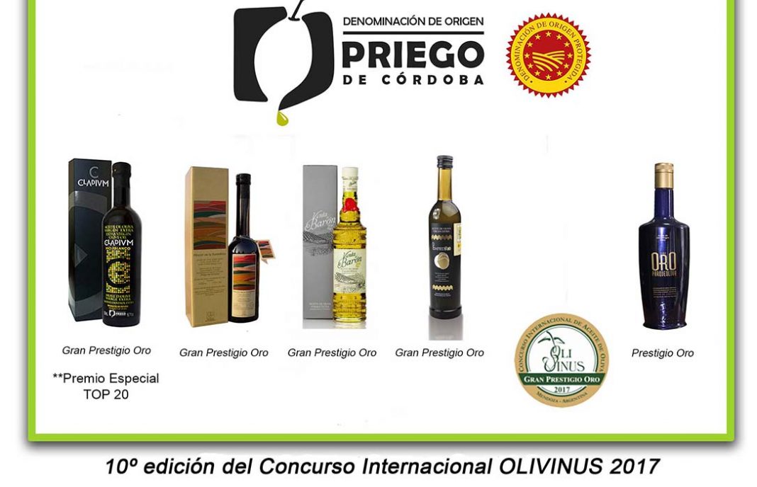 Los aceites de la DOP Priego de Córdoba copan los premios en OLIVINUS de Argentina