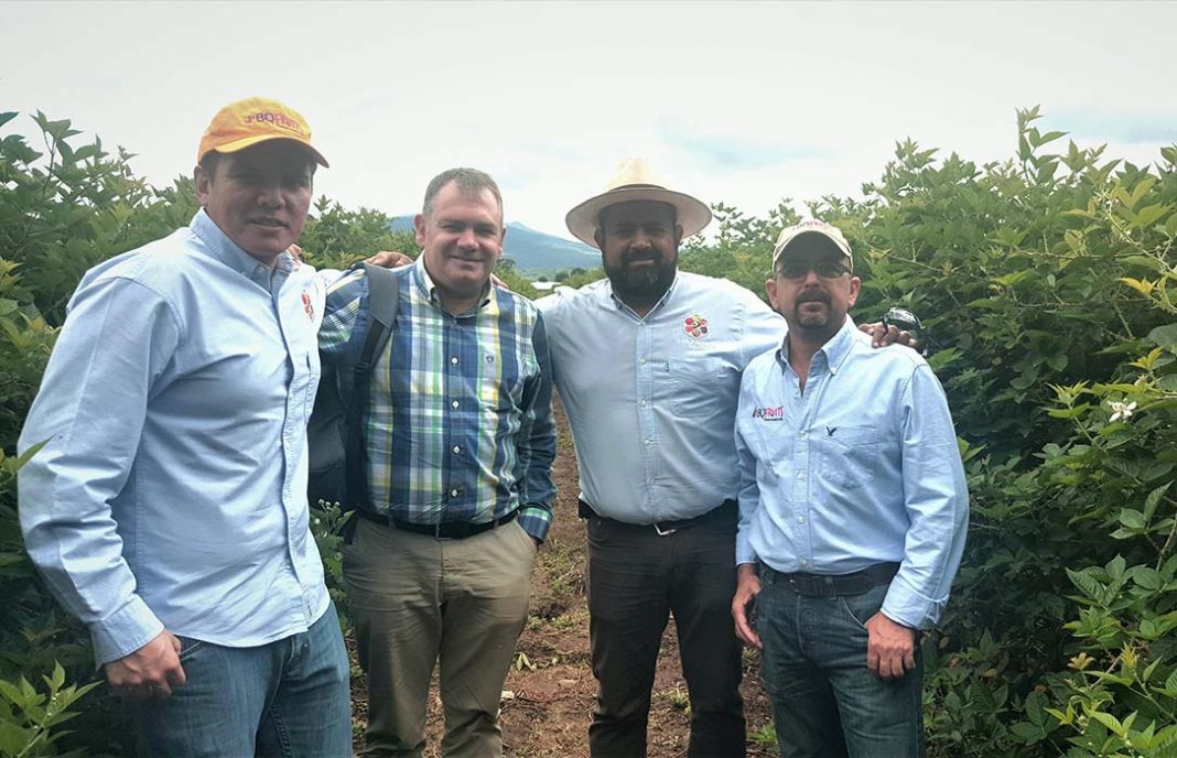 Grupo Encore, un referente de la internacionalización agroalimentaria de México