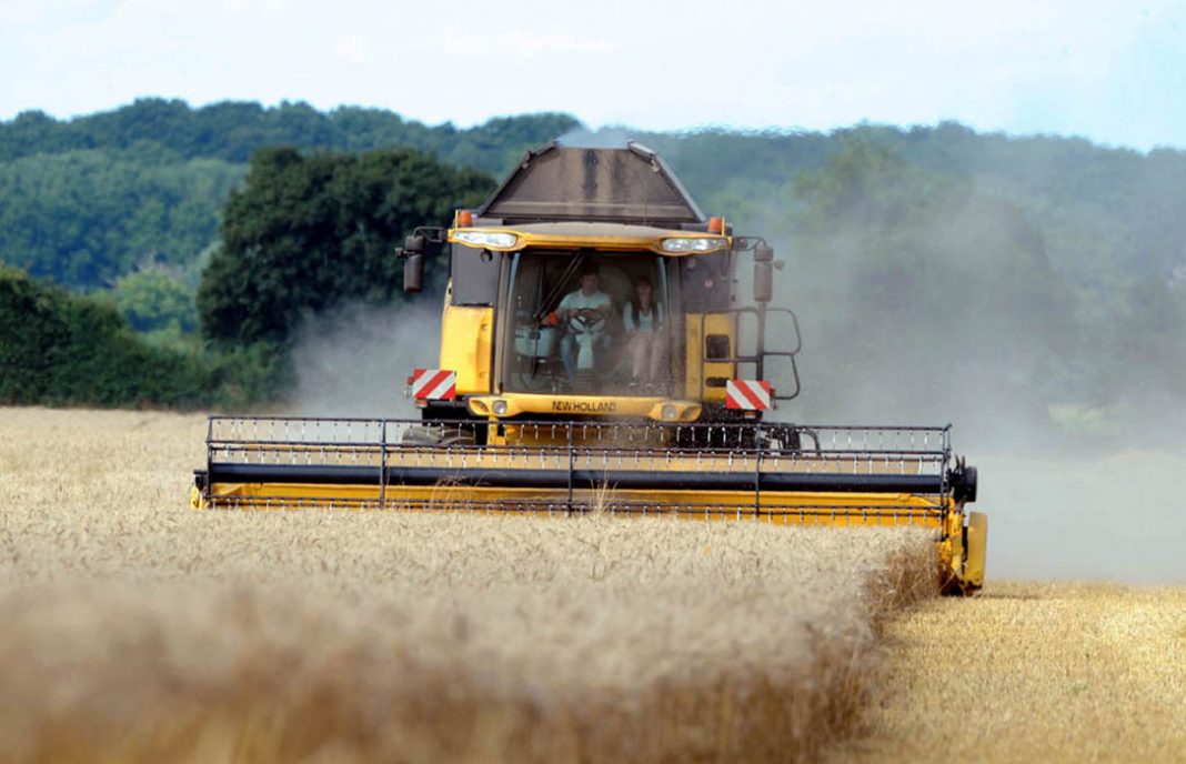La justicia europea valida la legalidad de concentrar la oferta agrícola reconocida en la reforma de la PAC
