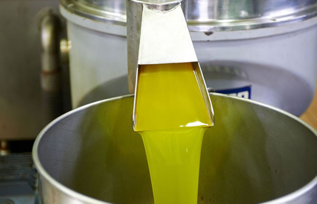 Los precios en origen del aceite de oliva se desaceleran con la llegada de las primeras lluvias