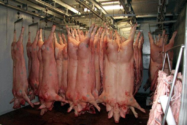 Preocupación por la caída del precio de la carne de cerdo, que pone en peligro la campaña de Navidad
