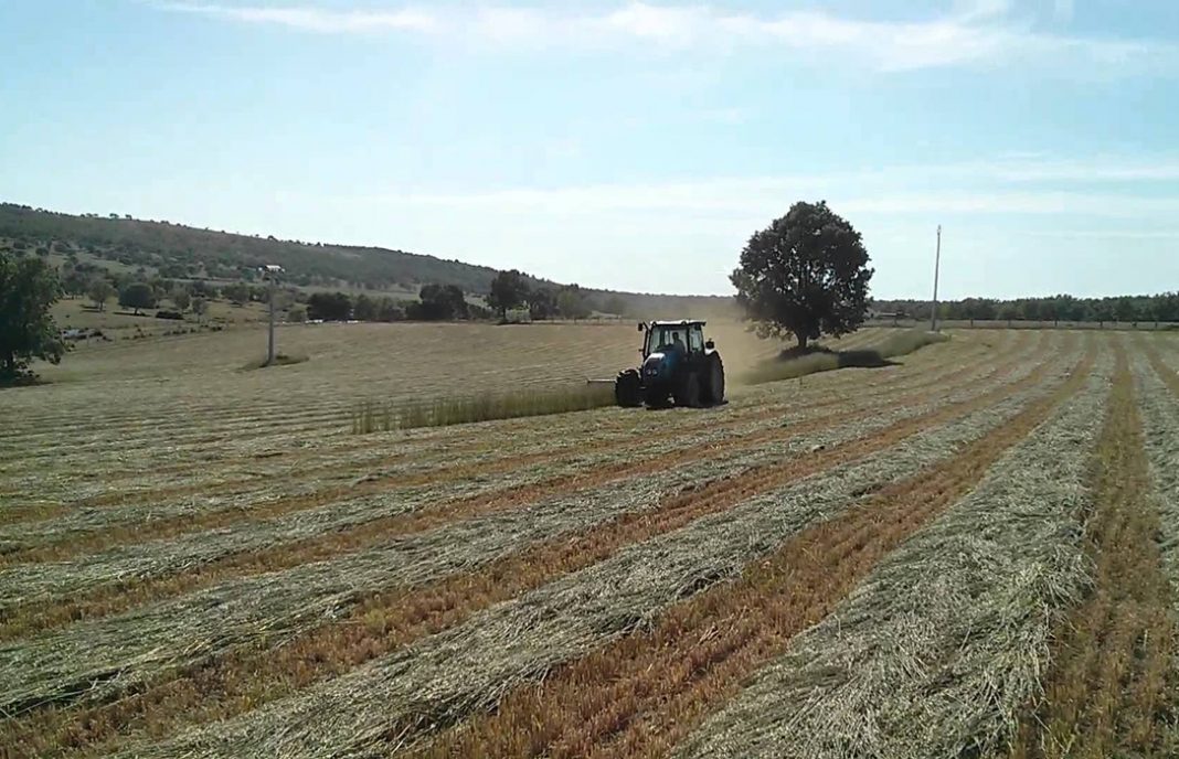 Los agricultores de Castilla La Mancha cobrarán el día de la Lotería el 30 % restante de la PAC