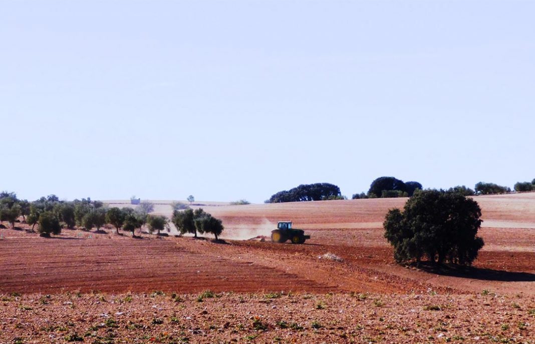 Piden al Gobierno priorizar el uso del agua para el riego y salvar los cultivos de Castilla-La Mancha