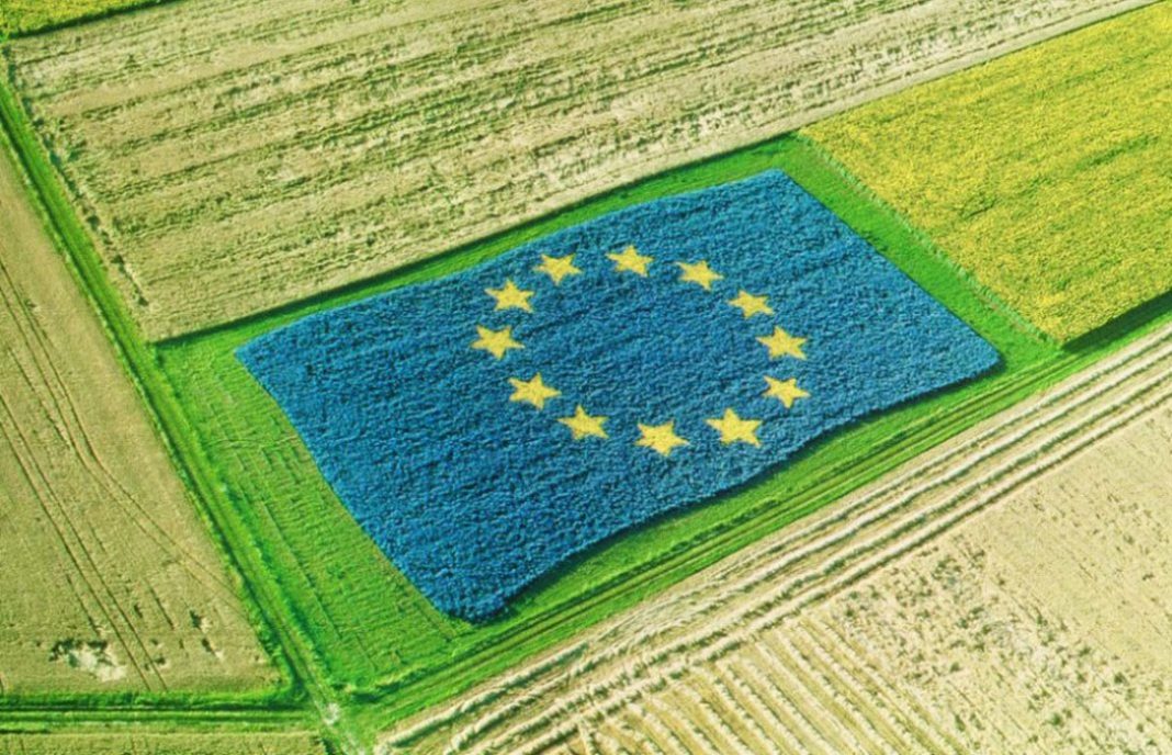 Proponen aprovechar la PAC ante la previsión de la CE de que la renta agraria europea caiga un 20% para 2030