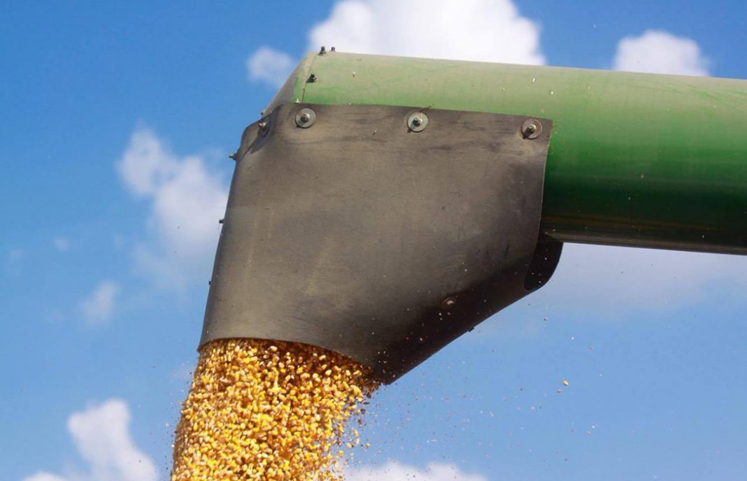 Nueva caída de los precios medios de los cereales que continúan sin poder levantar cabeza