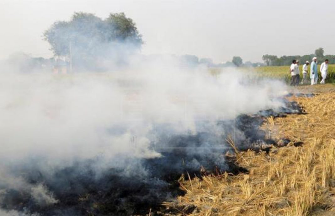 Máxima preocupación por la decisión de prohibir indefinidamente la quema de restos agrícolas
