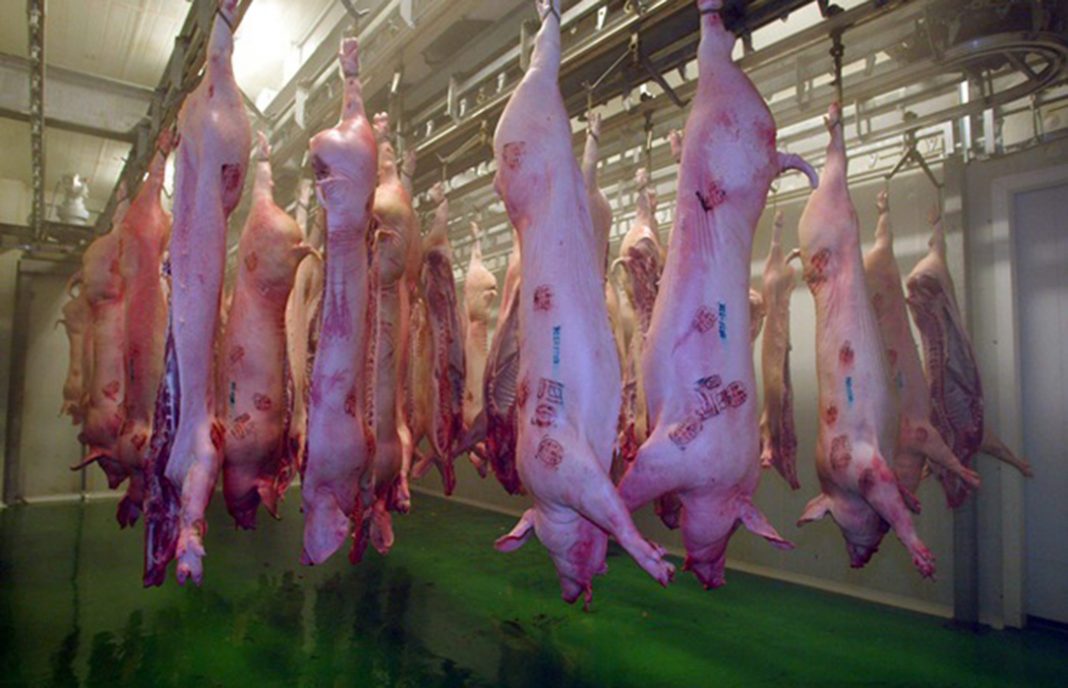 Satisfacción por el aumento de los precios del porcino durante 2017 de un 11,50% respecto a 2016