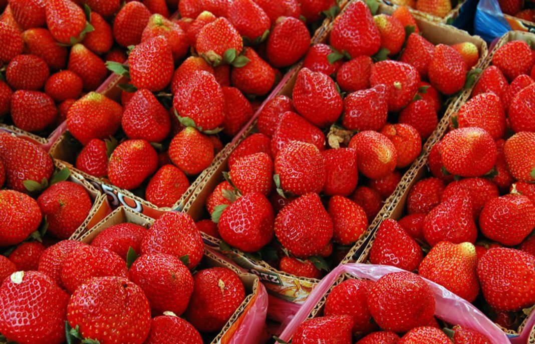 Otra denuncia para Carrefour…esta vez por utilizar las fresas como producto de reclamo y sospechas de venta a pérdidas