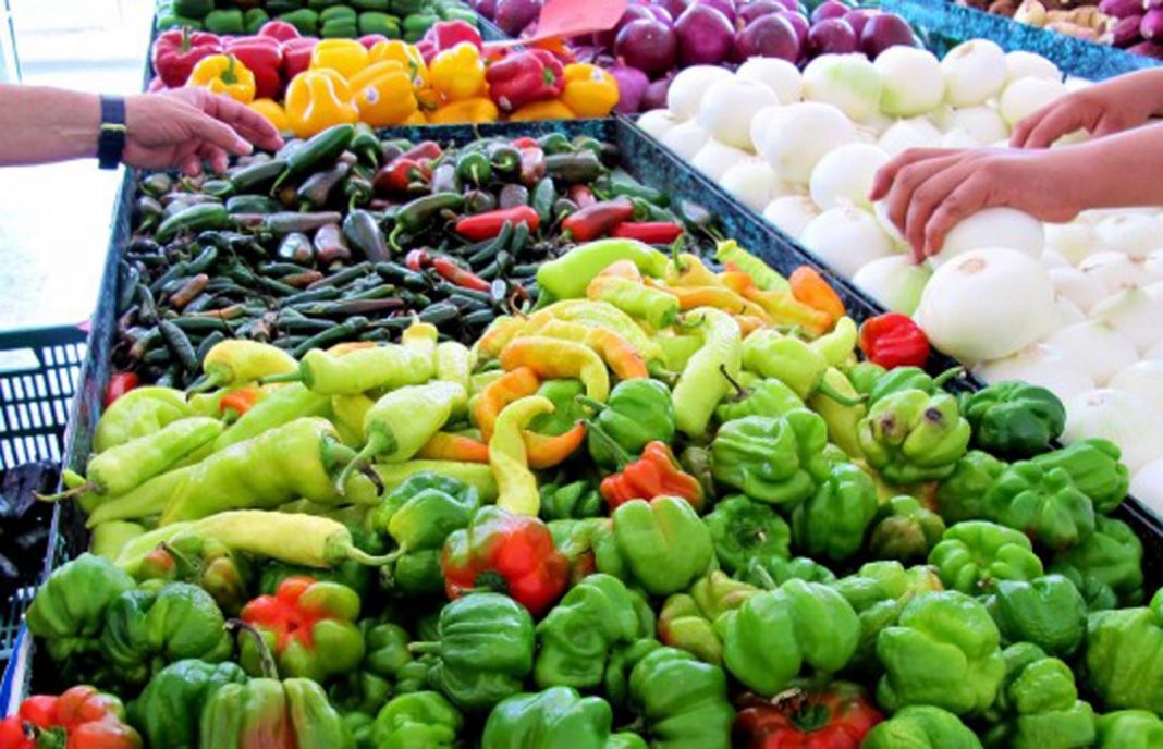 Los productores españoles, preocupados por el aumento de importaciones de frutas y hortalizas de Marruecos