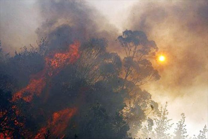 Un Incendio deja once terneros muertos en una granja de Silleda, a la espera de balance definitivo