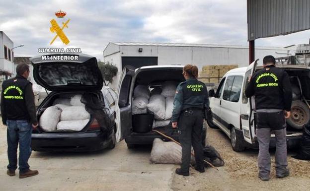 Detenidas seis personas por el robo de 12.500 kilos de aceitunas