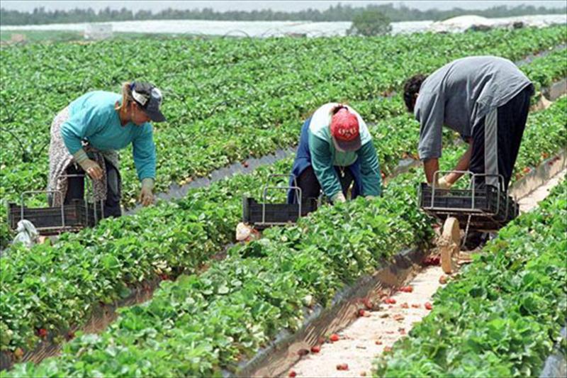 Sindicatos y Empleo se reunirán para abordar la pérdida de trabajo agrario por la sequía