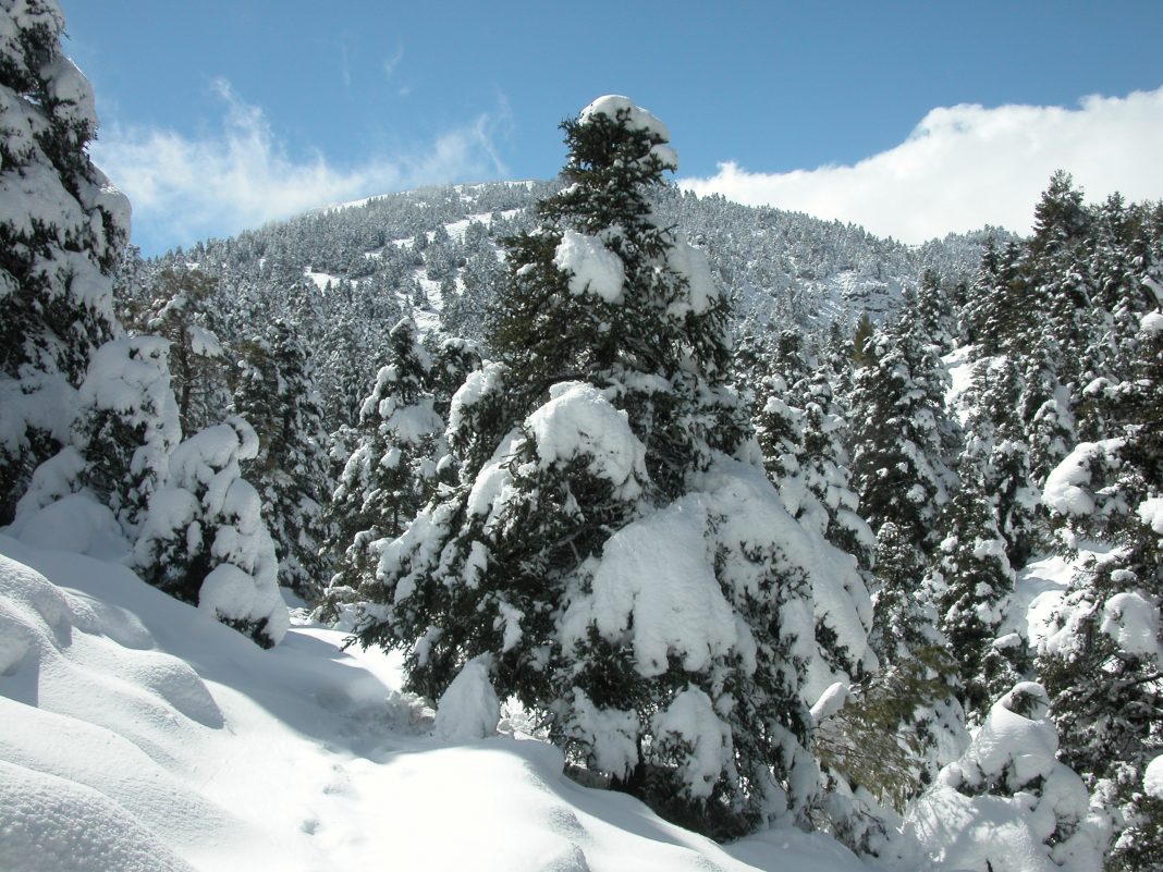 El Gobierno aprueba la propuesta inicial para declarar el nuevo Parque Nacional de La Sierra de las Nieves