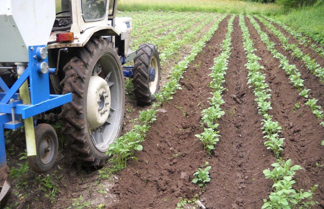 Un informe de la UE pide orientar los pagos agrarios de la PAC hacia resultados agroecológicos