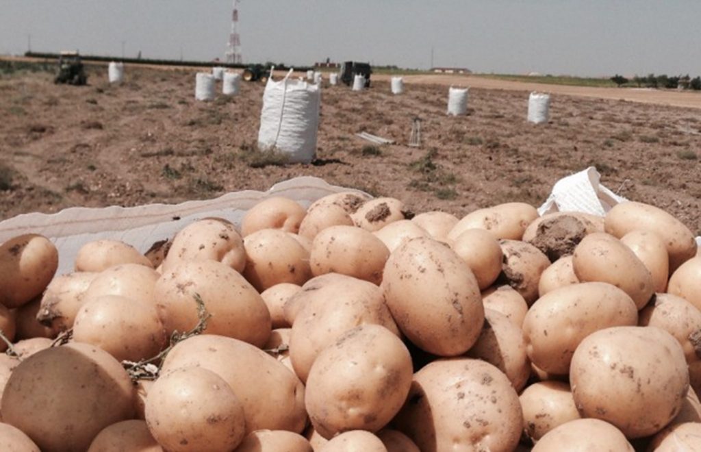 Donan 1.000 kilos de patata al Banco de Alimentos para reclamar precios justos para este alimento básico