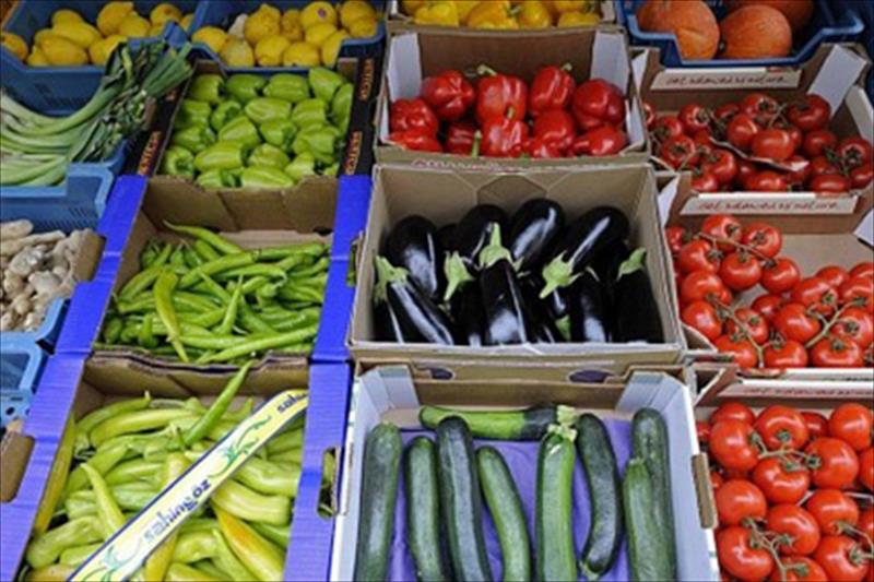 La exportación de frutas y hortalizas alcanzó los 12.704 millones de euros, pero no cumple las expectativas