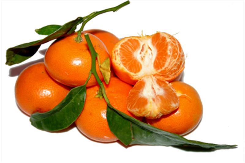 Piden que se inicie una investigación sobre el etiquetado de Aldi y Carrefour en algunas variedades de mandarinas