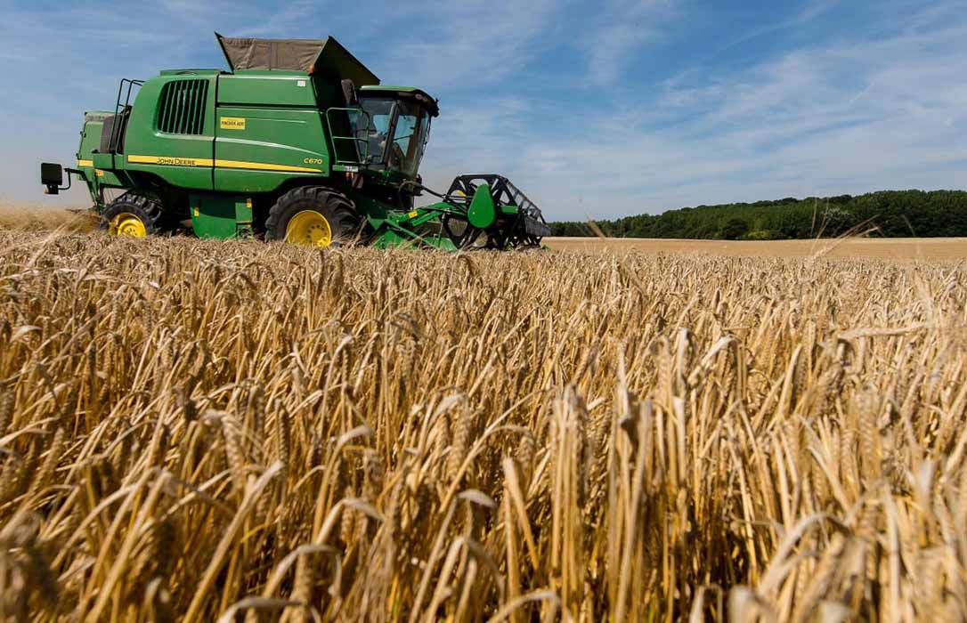 Gobierno y productores coinciden en que hay un problema y que España necesita cosechar «más y mejores» cereales