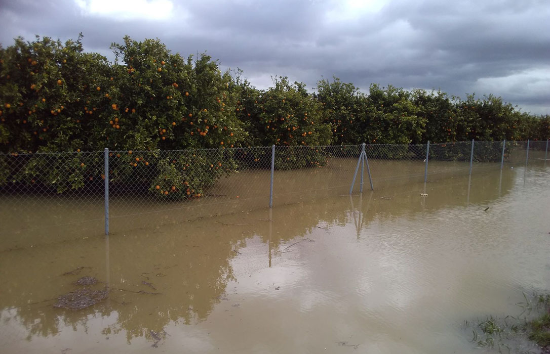 Enfado agrícola al aprobarse desembalses en plena alerta por lluvias, lo que ocasiona ya inundaciones y daños