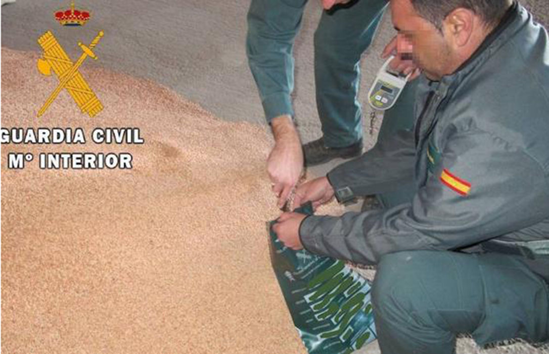 Ocho investigados en dos operaciones de la Guardia Civil por comercializar semillas de cereal ilegalmente