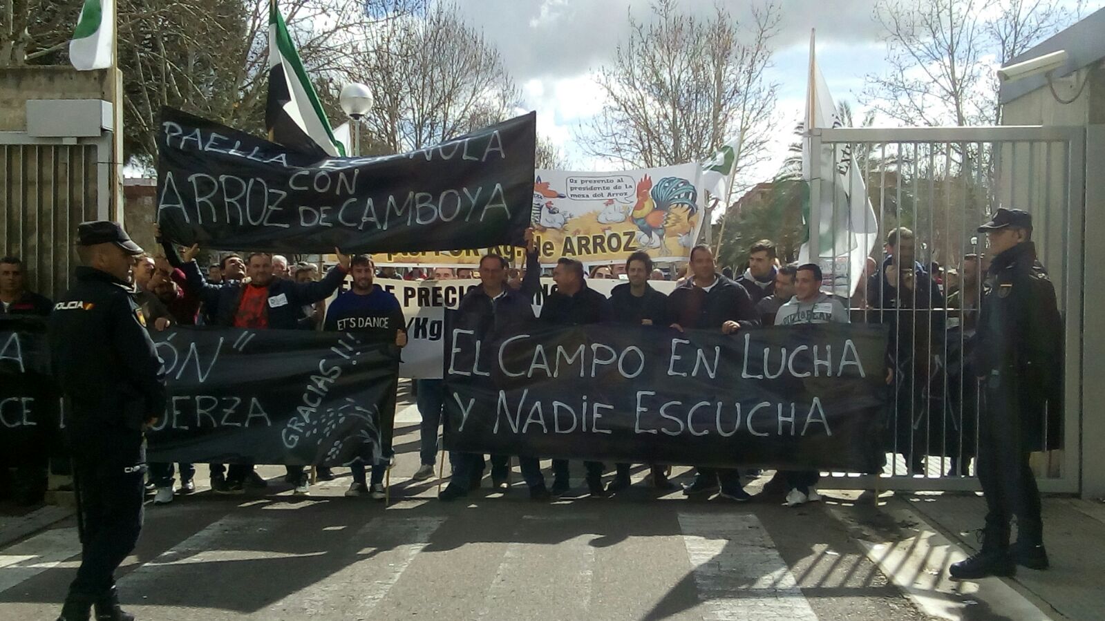 «Paella española con arroz de Camboya»: Cerca de 400 arroceros protestan por la pérdida de 8,6 millones de euros en el sector