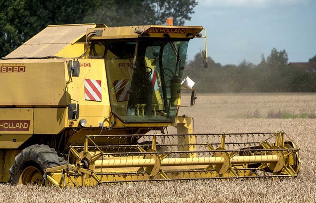 Al maíz se le acaba su tiempo de subidas y desciende de la mano del trigo blando en los mercados mayoristas