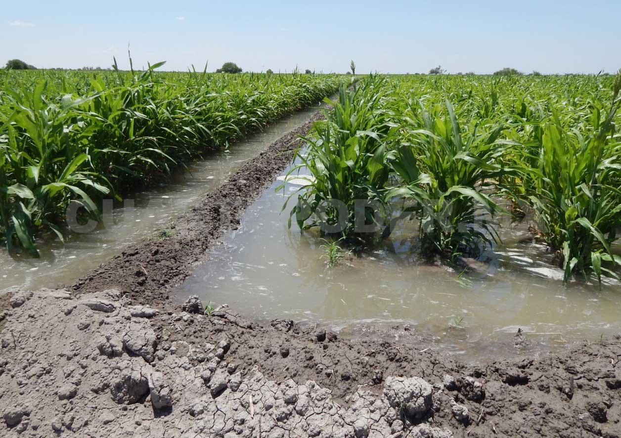 Basta de criminalizar al sector agrario: El compromiso con el agua debe ser compartido con la sociedad y poderes públicos