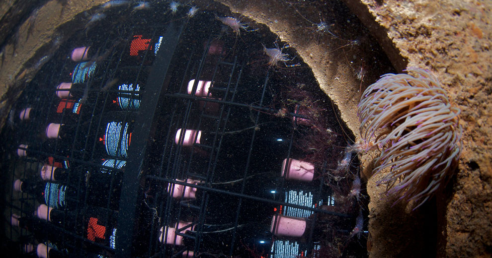 Vinos submarinos: el fondo del mar como una alternativa a la bodega tradicional