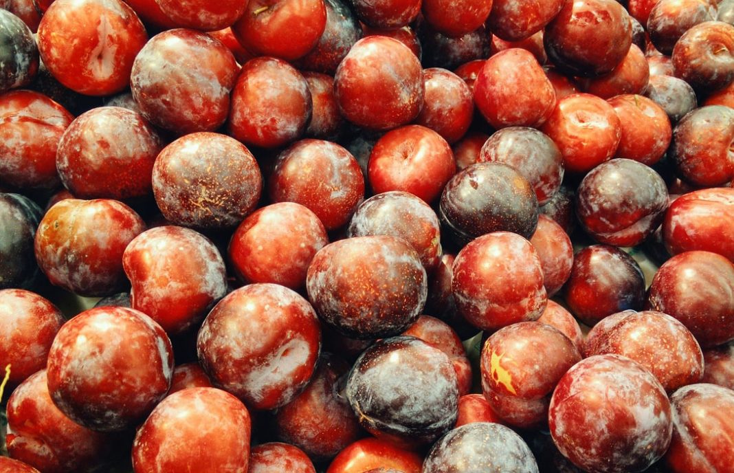 Confirmada la caída de la producción de fruta de hueso: la ciruela se lleva la palma, con más del 20%