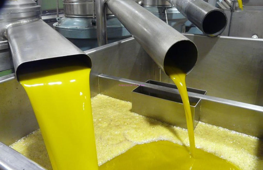 La venta de aceite de oliva se dinamiza en la última semana y repuntan los precios