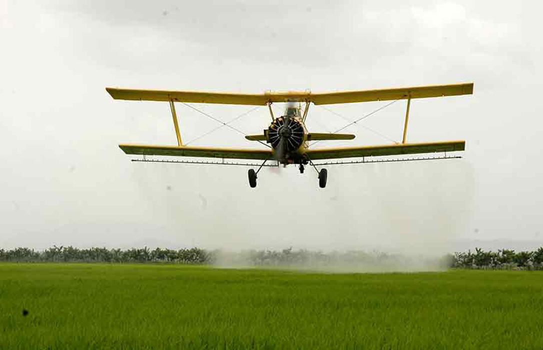 Alarma en el sector del arroz en Sevilla por la presencia de avionetas con herbicidas