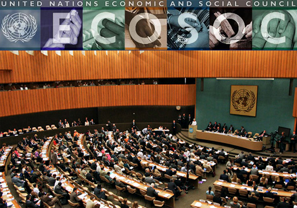 AMFAR recibe el reconocimiento del Consejo Económico y Social de Naciones Unidas como órgano consultivo especial