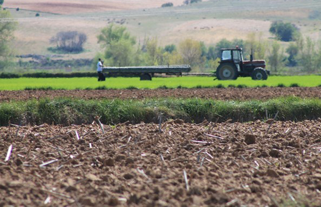 PAC: Los agricultores piden a la CE más acción frente a los continuos ataques de EE.UU a las políticas europeas