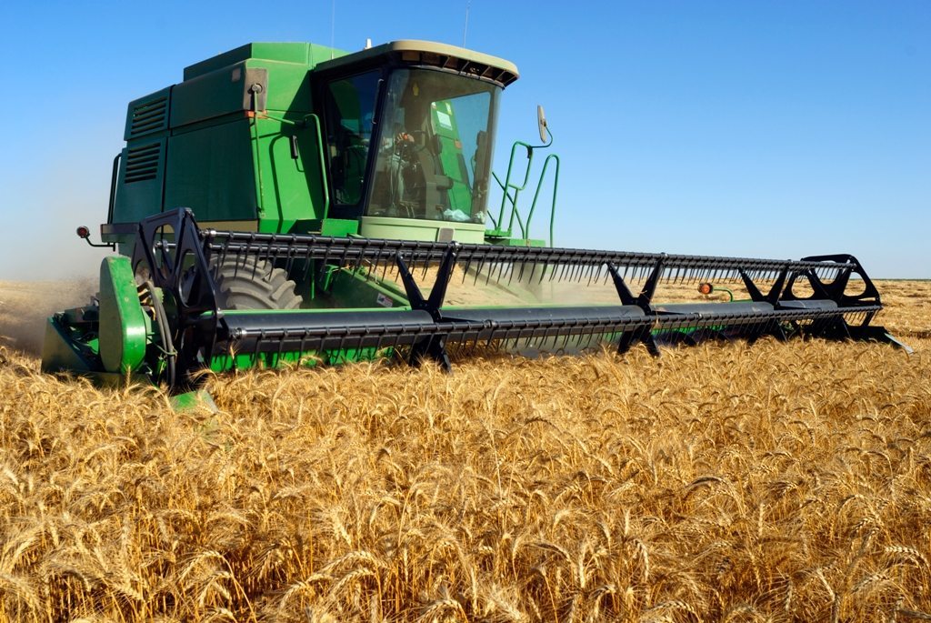 Segunda estimación: Cooperativas España prevé una cosecha de cereales de 17,4 millones de toneladas