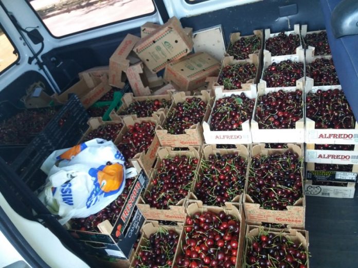 Decomisados 580 kilos de cerezas y 21 ajos en un mercadillo sin haber cumplido los requisitos sanitarios